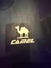 骆驼（CAMEL）短袖t恤衫男士夏季新款宽松圆领户外运动服跑步训练超薄速干上衣 实拍图