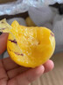 鲜青录民勤沙漠人参果大果 水分多微甜 甘肃人生果长果 4.5斤果王（单果150g+） 实拍图