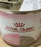 皇家（ROYAL CANIN）猫粮慕斯猫罐头湿粮奶糕幼猫粮全价粮 猫咪主食级罐头BMC 【小罐锁鲜880g】幼猫奶糕罐88g*10罐 实拍图