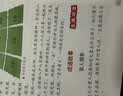 阳光同学 2026秋新版 博物课堂二年级上册 小学年级阅读语文人教版同步教材课内外拓展阅读必读 百科知识文化常识 开学季 实拍图