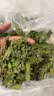 比克熊紫花苜蓿草幼兔兔粮烘干牧草干草龙猫荷兰猪磨牙饲料净重750g 实拍图