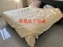 水星家纺蚕丝被黄金茧桑蚕丝被子冬季子母被二合一被芯约8.8斤220×240cm 实拍图