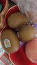 佳沛（zespri）新西兰金奇异果12粒特大果124-146g猕猴桃中秋节礼品送水果礼盒 实拍图