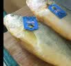 三都港 冷冻黄花鱼700g/2条装 大黄鱼深海鱼 生鲜鱼类 海鲜水产中秋礼品 实拍图