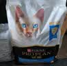 冠能猫粮室内成猫猫粮7kg 全价猫粮 添加膳食纤维 控制毛球 实拍图