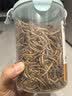 乖卷面包虫干仓鼠零食黄粉虫鹦鹉鸟芦丁鸡龟营养粮食金丝熊刺猬1000ML 实拍图