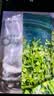 珀莱雅小球藻面膜补水保湿海藻补水玻尿酸面膜生日礼物 实拍图