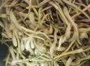 艺福堂花草茶 特级精品金银花茶30g 中药材同源养生婴儿童泡澡凉搭菊花 实拍图