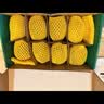 佳沛（zespri）新西兰金奇异果10个装单果重103-114g猕猴桃中秋节礼品送水果礼盒 实拍图