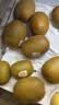 佳沛（zespri）绿奇异果优选果27-33粒原箱103-135g猕猴桃中秋节礼品送水果礼盒 实拍图