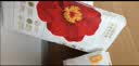 宜婴新梦想家婴儿纸尿裤2XL34超薄新生儿尿不湿尿裤【未检出甲酰胺】 实拍图