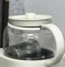 ±0日本正负零全玻璃养生壶【新款】恒温水壶调奶器煮茶器0胶水泡奶家用1L大容量办公室保温烧水壶 富士白 1L 0塑料0胶水【玻璃险碎裂包换】 实拍图