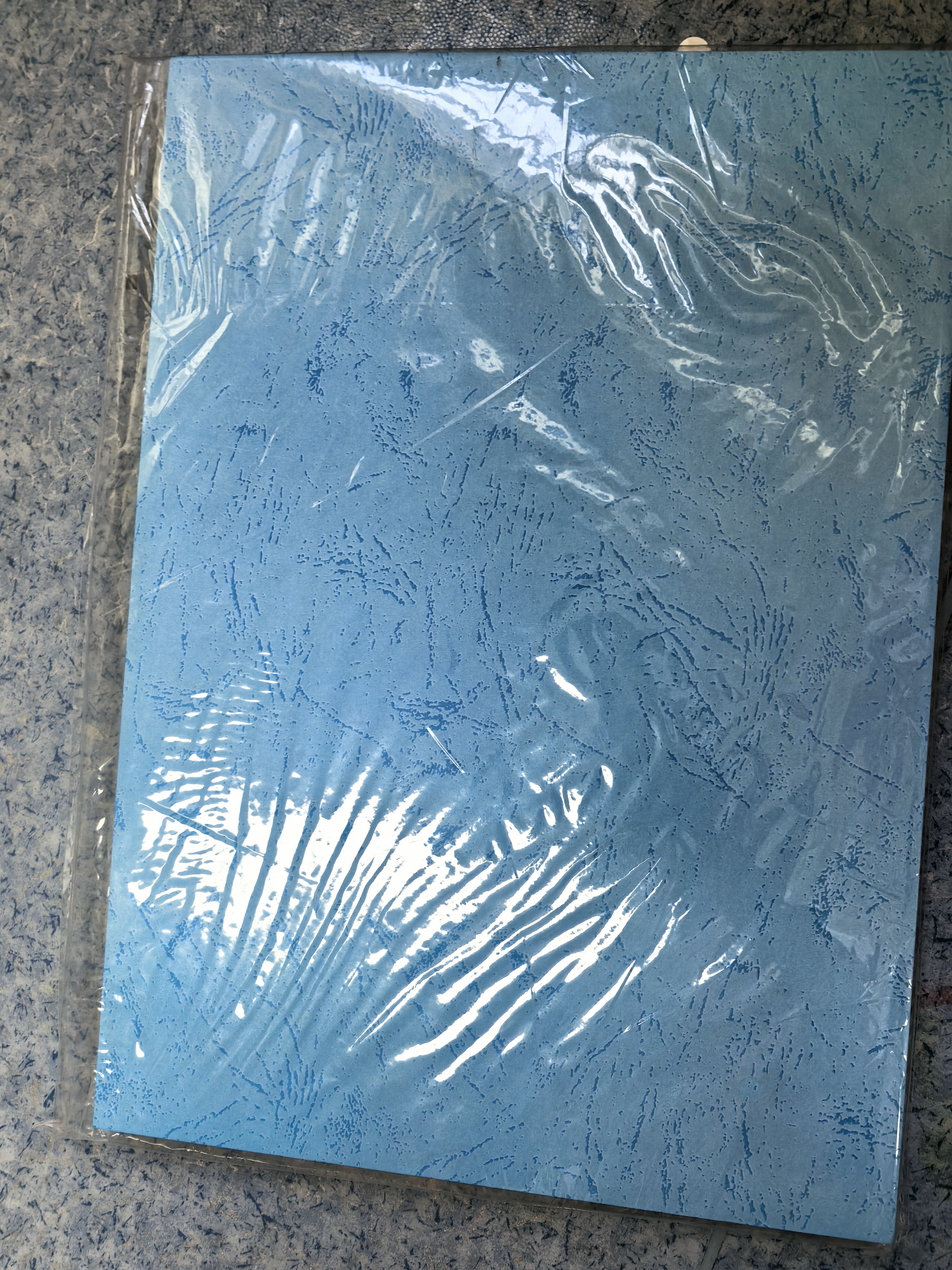 道顿180g A4 平面皮纹蓝色100张封皮纸 胶装机装订机仿皮纹纸标书文件封面纸云彩纸 实拍图