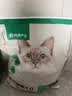 网易严选全价猫粮4.0成幼猫三文鱼亮毛养胃深海鱼虾1.8kg*4袋【宠物金选】 实拍图