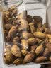 百历坚罐装巴旦木500g 每日坚果炒货 休闲零食 薄壳笑口杏仁 实拍图
