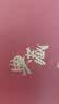 不拙建盏主人杯茶杯个人专用泡茶茶具整套高档新婚生日礼物五彩斑斓 实拍图