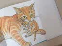 小猫（爱心树童书）  实拍图