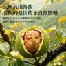 福东海特级云南核桃仁 2026头路老树新货免剥原味坚果零食无添加自营 实拍图
