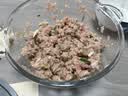 小熊（Bear）绞肉机2026新款家用小型 绞馅机 搅肉机  碎肉机  升级悬浮刀 绞肉和面一体机 QSJ-B03U3 实拍图