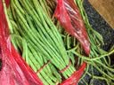 山东莘县大棚豇豆新鲜长豆角凉拌菜脆嫩鲜甜 农家精选带箱4斤装（净重3.2斤） 实拍图