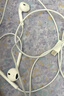 Apple/苹果 EarPods USB-C有线耳机 type-c有线耳机  iPhone 17有线耳机笔记本耳机游戏音乐 实拍图