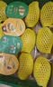 佳沛（zespri）新西兰金奇异果30-33粒原箱103-124g猕猴桃中秋节礼品送水果礼盒 实拍图