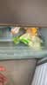 正大鸡翅中2斤单个翅中30-40g左右 烧烤鸡中翅生鲜鸡翅炸鸡 实拍图