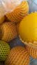 佳沛（zespri）新西兰 阳光金奇异果12粒特大果单果124-146g 猕猴桃水果礼盒 实拍图