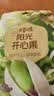 百草味开心果盐焗味100g 每日坚果干果休闲零食特产新老包装随机发 实拍图