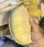 京鲜生 进口金枕头鲜榴莲 净重6-7斤 1个装 新鲜榴莲 生鲜水果 实拍图