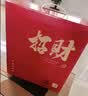 冠珺号新中式发财树招财猫摆件客厅玄关办公室装饰新店开业礼物新年礼物 【全国仓快速送达】财源广进发财树招财猫【彩盒款】 实拍图