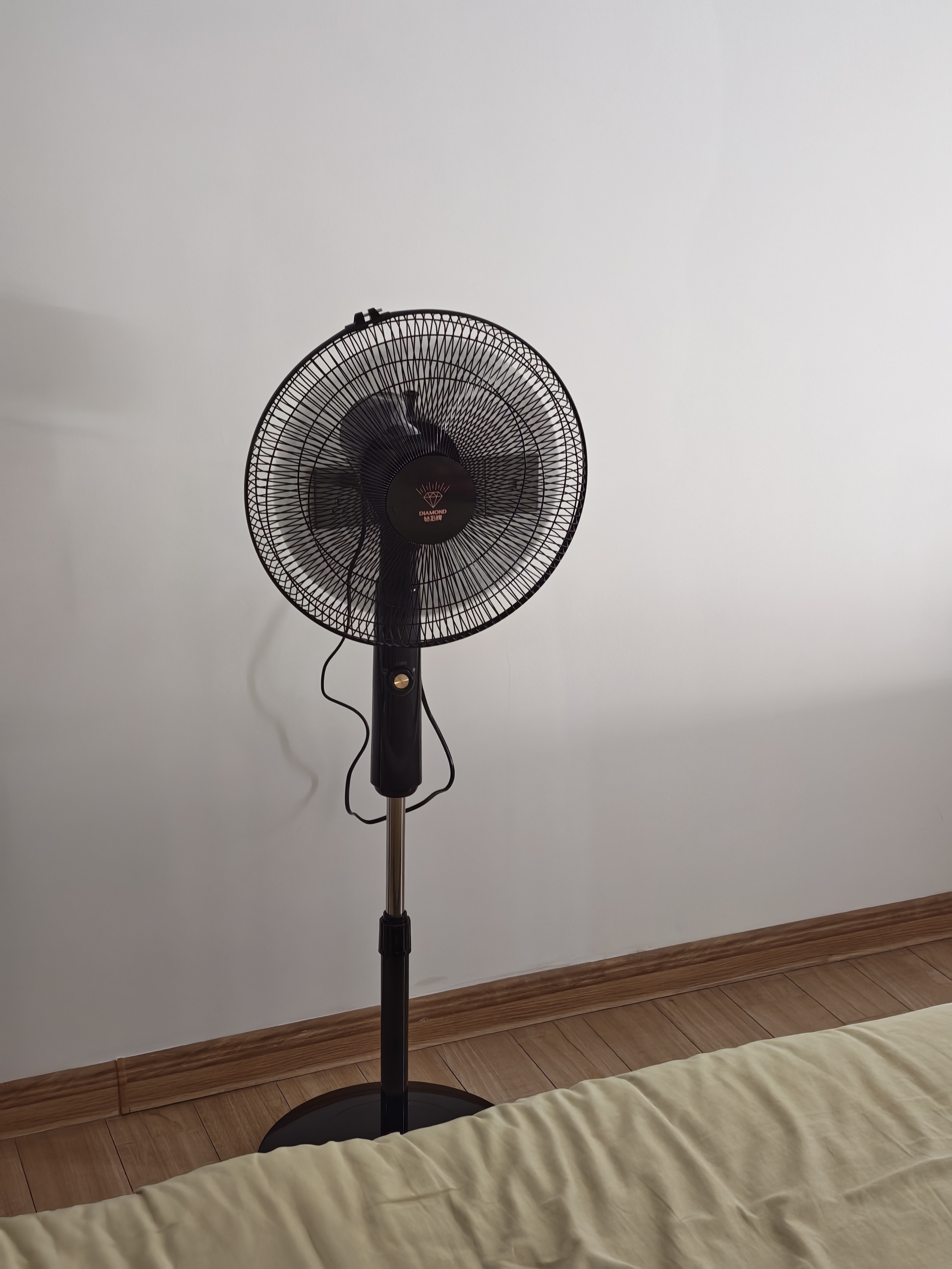 钻石牌落地扇家用电风扇【1级能效+直流变频】摇头扇落地风扇无极变速调控强劲风力大网罩DFS-ZFM07z 实拍图