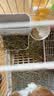 洁西（JESSIE） 烘干牧草四合一 兔子牧草干草提摩西小麦草燕麦草蒲公英兔粮250g 实拍图