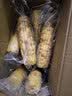 京鲜生云南花糯小玉米3斤 精选小花糯甜糯玉米棒 新鲜蔬菜 源头直发包邮 实拍图