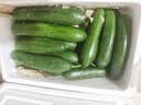 山东荷兰水果黄瓜青瓜无刺小黄瓜生吃水果蔬菜减脂轻食源头直发 净重 4.5斤 实拍图