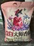 立白大师香氛洗衣粉 鸢尾薰衣草7斤 留香强效去污去渍强力京东自营 实拍图