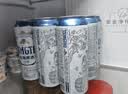 青岛啤酒（TsingTao）精酿白啤 全麦酿造 500ml*12罐整箱装 中秋节送礼 实拍图