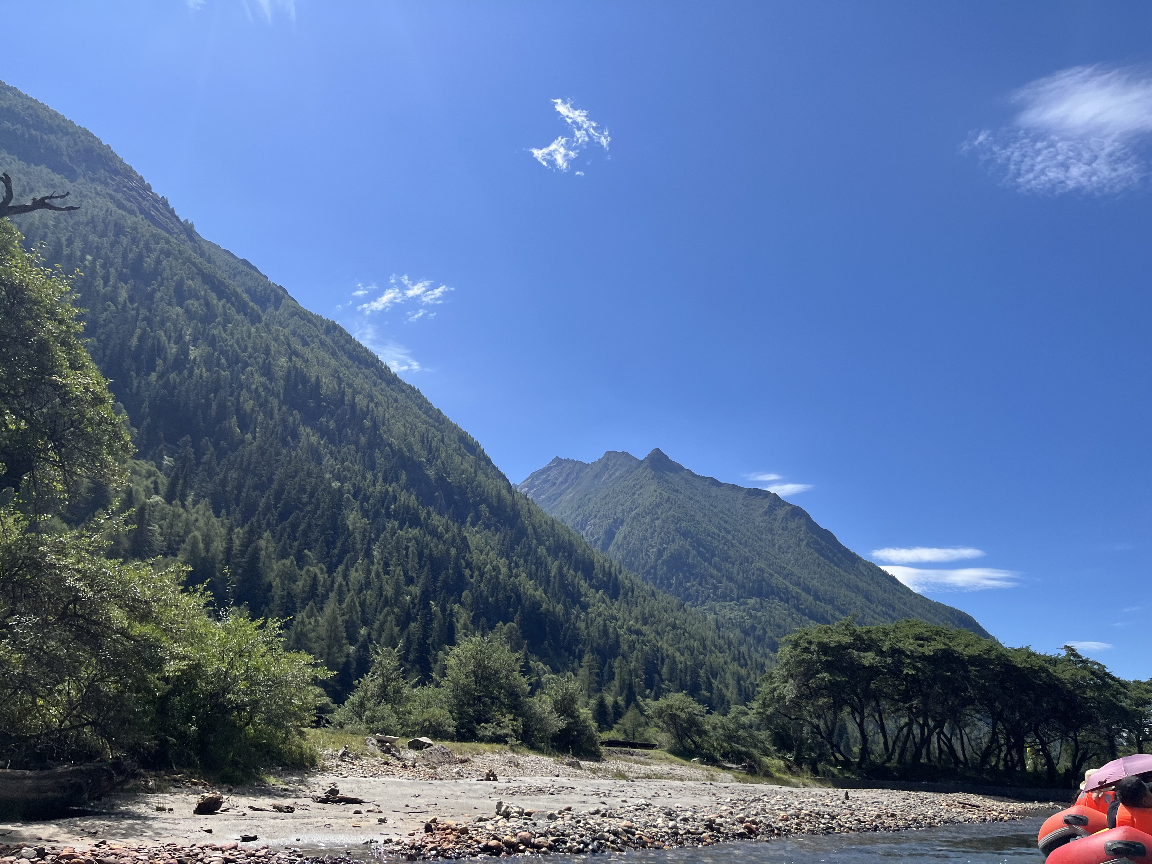 神火（SupFire）户外登山杖铝合金T柄超轻拐杖徒步健走爬山伸缩非折叠棍儿童手杖 实拍图