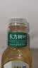 农夫山泉【新口味】东方树叶陈皮白茶500ml*15瓶无糖茶饮料0糖0脂0卡 实拍图