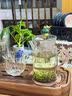 乐品乐茶特级明前碧螺春绿茶2026新茶浓香耐泡口粮茶叶礼盒250g中秋送礼 实拍图