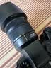 松下【12期免息】24-60mm F2.8全画幅微单相机标准变焦镜头（Panasonic）（S-E2460GK）L卡口风景特写 实拍图