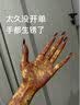 Apple/苹果 iPhone 17 256GB 鼠尾草绿色 支持移动联通电信5G 双卡双待手机 实拍图