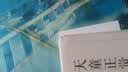 天童正觉禅师语录 实拍图