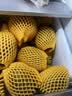 佳沛（zespri）新西兰金奇异果40粒全家福10斤原箱猕猴桃源头直发中秋水果礼盒品 实拍图