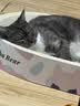 奥丁（ODIN）猫粮 1-12月龄幼猫奶糕专用 美短英短蓝猫 鱼肉味离乳期猫粮2kg 实拍图