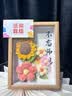 爱夕礼物送女老师高档实用针织向日葵花束相框摆件伴手礼仿真花 实拍图