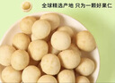 三只松鼠芥末味夏威夷果仁500g 非油炸袋装坚果果仁脆皮休闲零食 实拍图