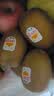 佳沛（zespri）新西兰阳光金奇异果6粒装88-103g猕猴桃水果中秋节礼品送水果礼盒 实拍图
