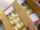 港荣蒸蛋糕奶香900g蛋糕小面包早餐零食饼干西式糕点甜品中秋礼品盒 实拍图