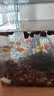 【顺丰快速发货】3-5CM彩色天使鱼 群游观赏鱼淡水活体小型鱼好养 七色(翡翠/蓝/红/黄/粉/绿/紫) 15条+2条备损(七色均匀配)3-5CM大号 实拍图